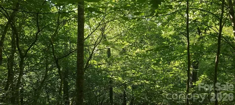 Lot# 19 Mill Creek Road Old Fort NC 28762