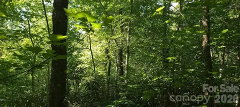 Lot# 19 Mill Creek Road Old Fort NC 28762