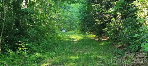Lot# 19 Mill Creek Road Old Fort NC 28762