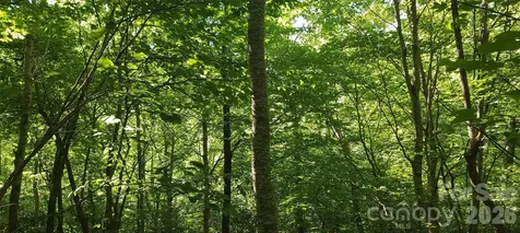 Lot# 19 Mill Creek Road Old Fort NC 28762
