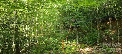 Lot# 19 Mill Creek Road Old Fort NC 28762