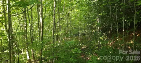 Lot# 19 Mill Creek Road Old Fort NC 28762