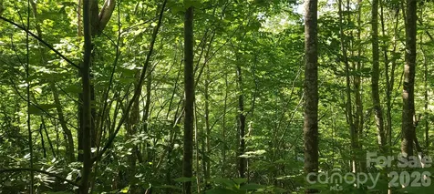 Lot# 19 Mill Creek Road Old Fort NC 28762