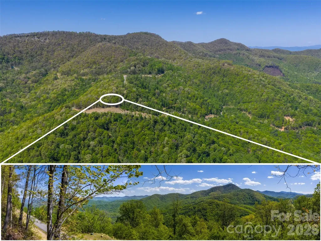 0000 Lovebird Lane Candler NC 28716