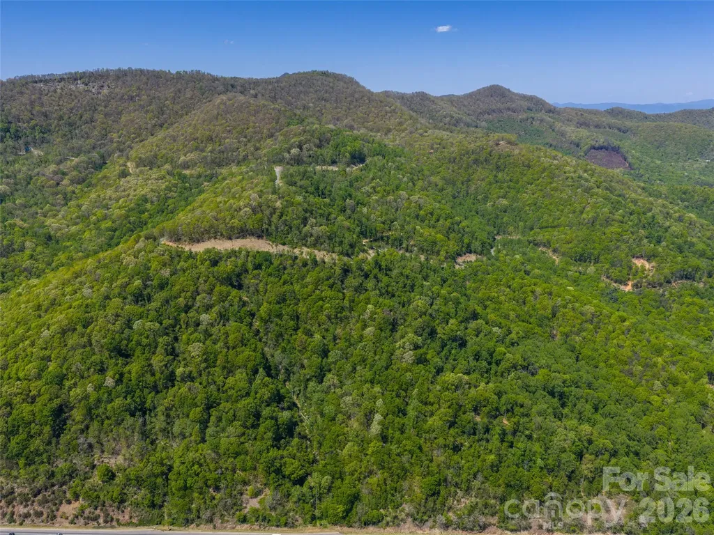 0000 Lovebird Lane Candler NC 28716
