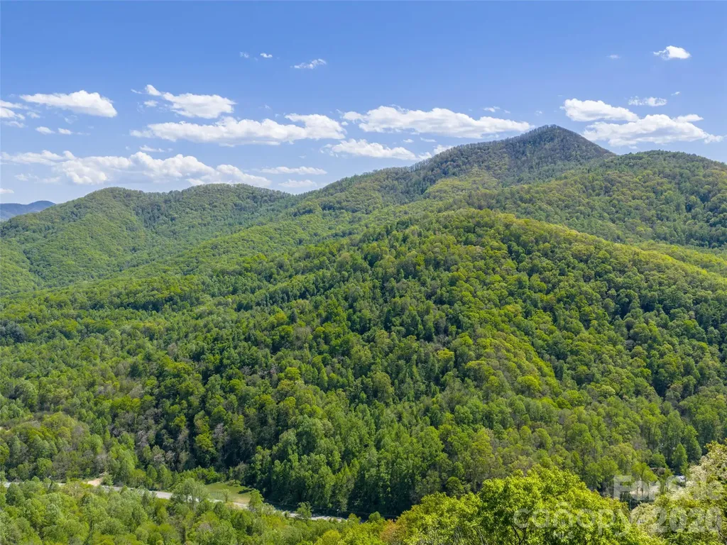 0000 Lovebird Lane Candler NC 28716