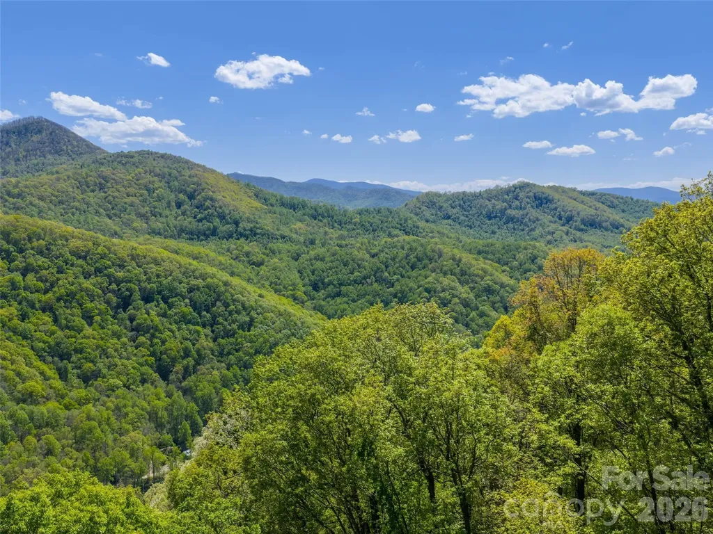 0000 Lovebird Lane Candler NC 28716