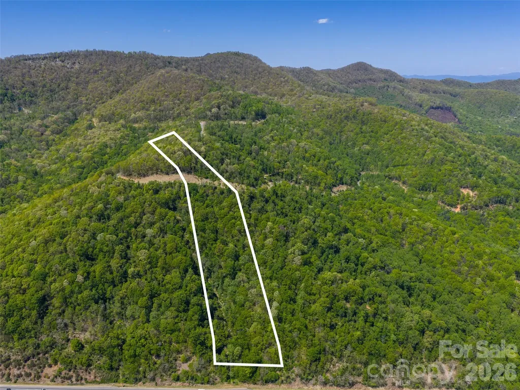 0000 Lovebird Lane Candler NC 28716