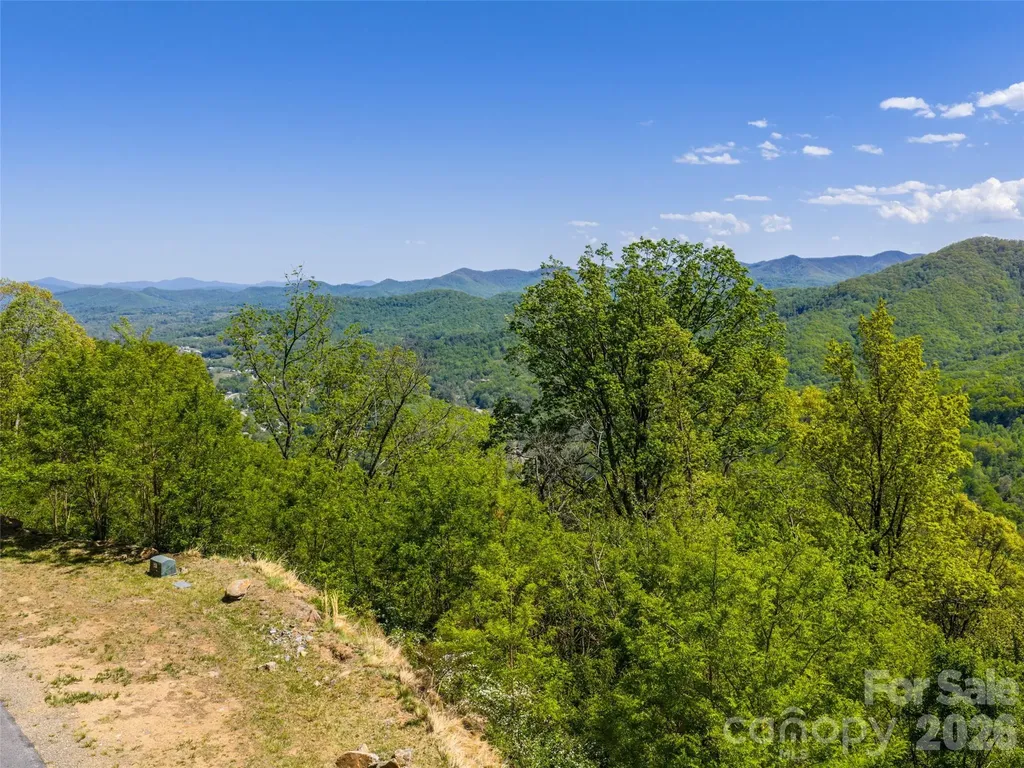 0000 Lovebird Lane Candler NC 28716