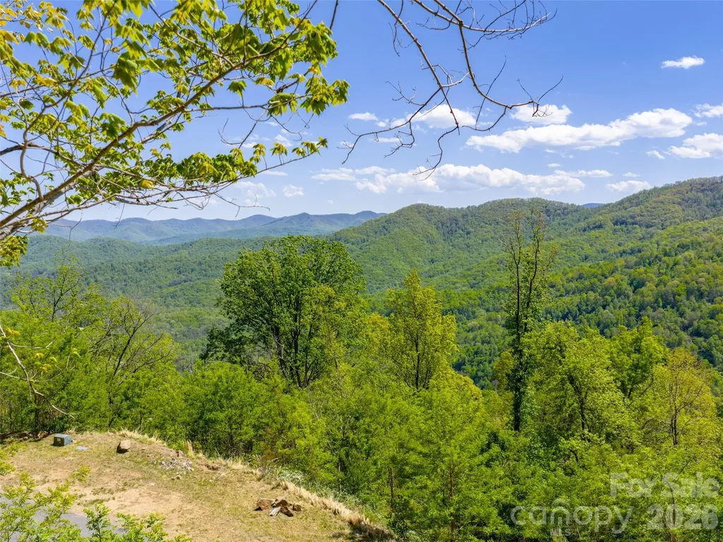 0000 Lovebird Lane Candler NC 28716