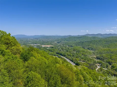 0000 Lovebird Lane Candler NC 28716