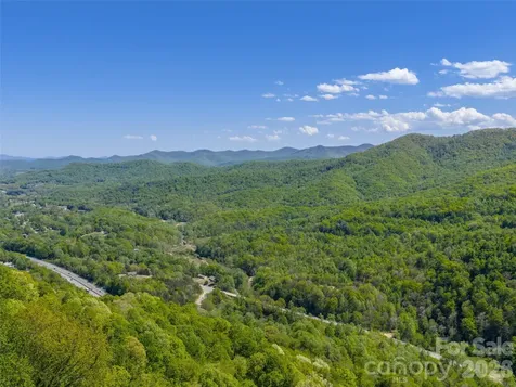 0000 Lovebird Lane Candler NC 28716