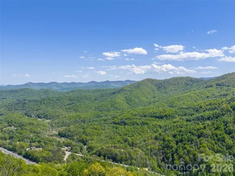0000 Lovebird Lane Candler NC 28716
