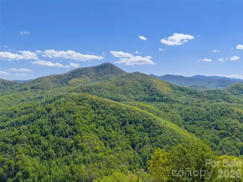 0000 Lovebird Lane Candler NC 28716