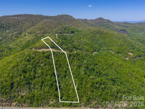 0000 Lovebird Lane Candler NC 28716