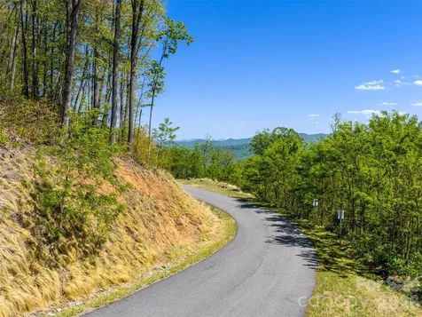0000 Lovebird Lane Candler NC 28716