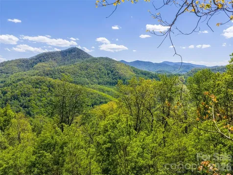 0000 Lovebird Lane Candler NC 28716