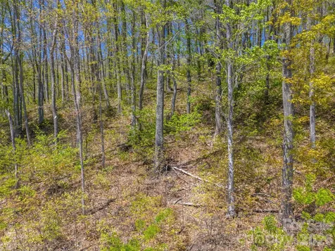 0000 Lovebird Lane Candler NC 28716