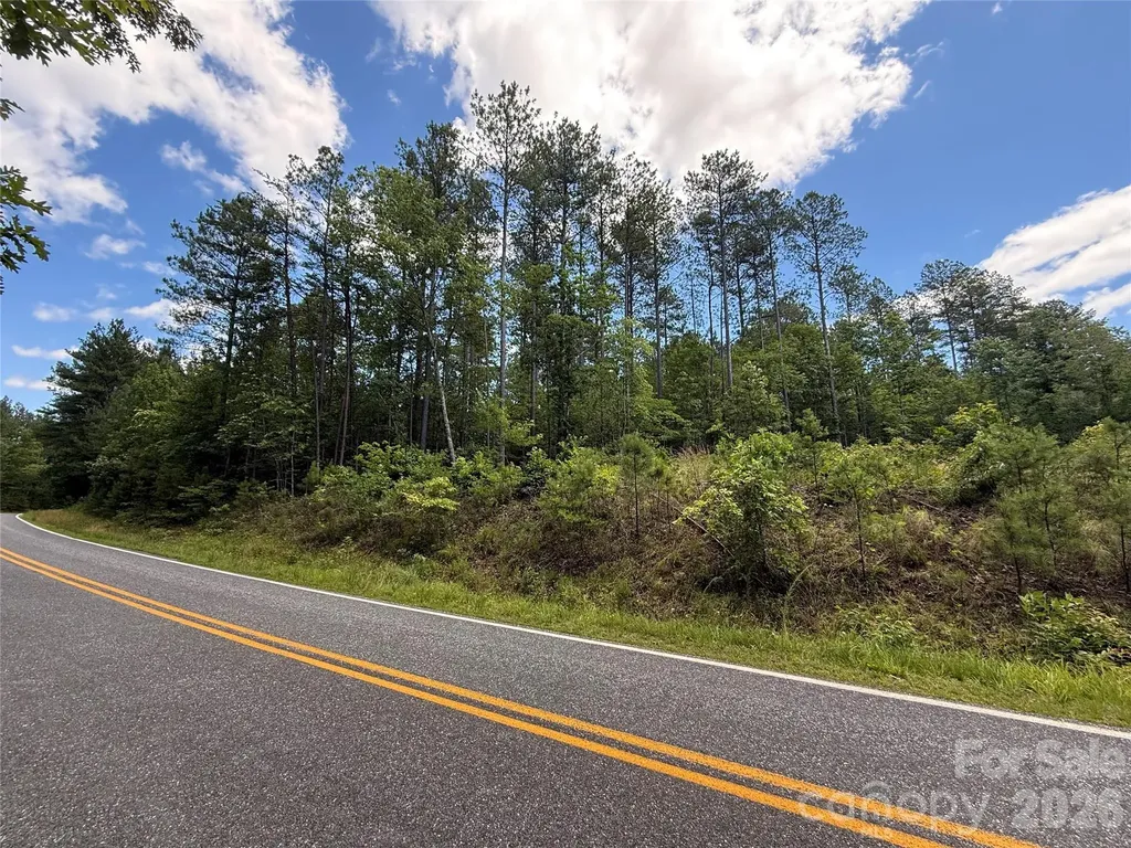 9999 Clark Road Rutherfordton NC 28139