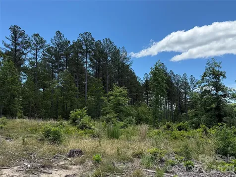 9999 Clark Road Rutherfordton NC 28139