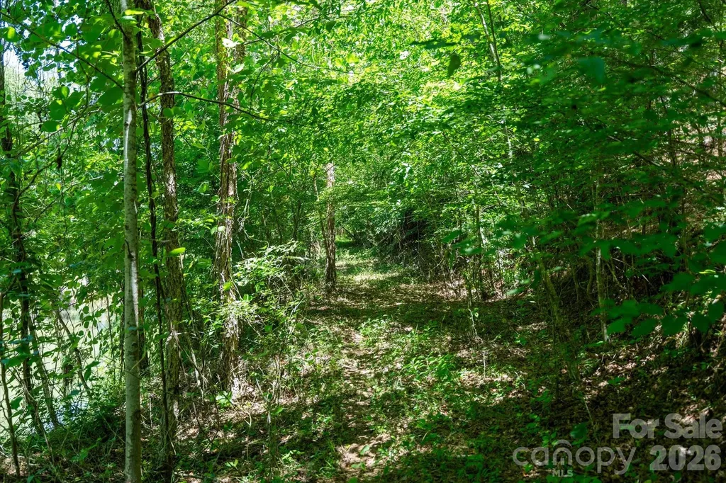 99999 Thompson Lake Road Rutherfordton NC 28139