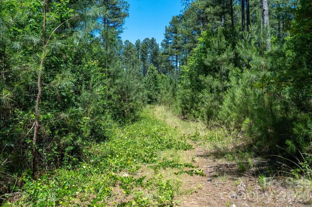 99999 Thompson Lake Road Rutherfordton NC 28139