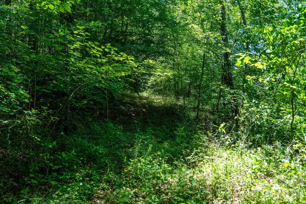99999 Thompson Lake Road Rutherfordton NC 28139
