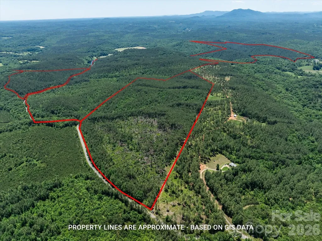 99999 Thompson Lake Road Rutherfordton NC 28139