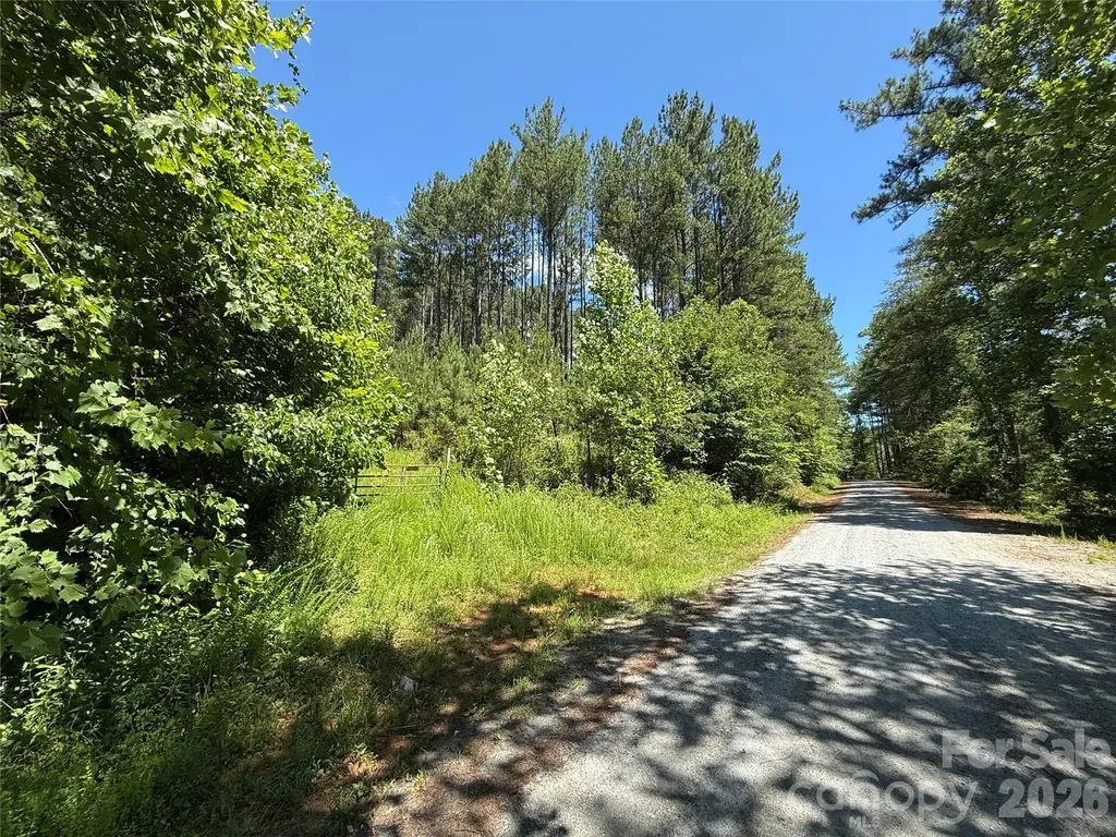 99999 Thompson Lake Road Rutherfordton NC 28139
