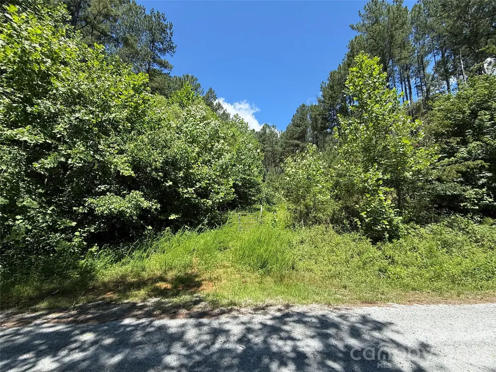 99999 Thompson Lake Road Rutherfordton NC 28139