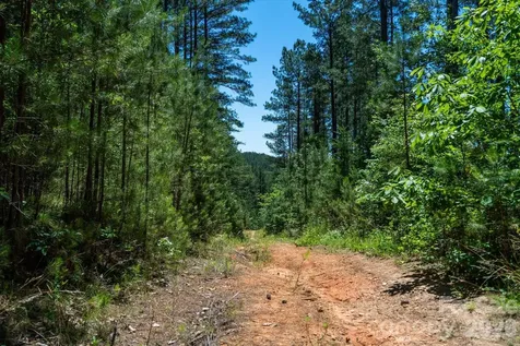 99999 Thompson Lake Road Rutherfordton NC 28139