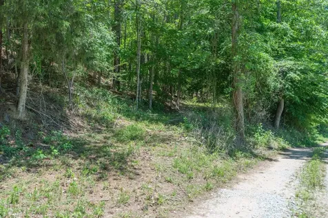 99999 Thompson Lake Road Rutherfordton NC 28139