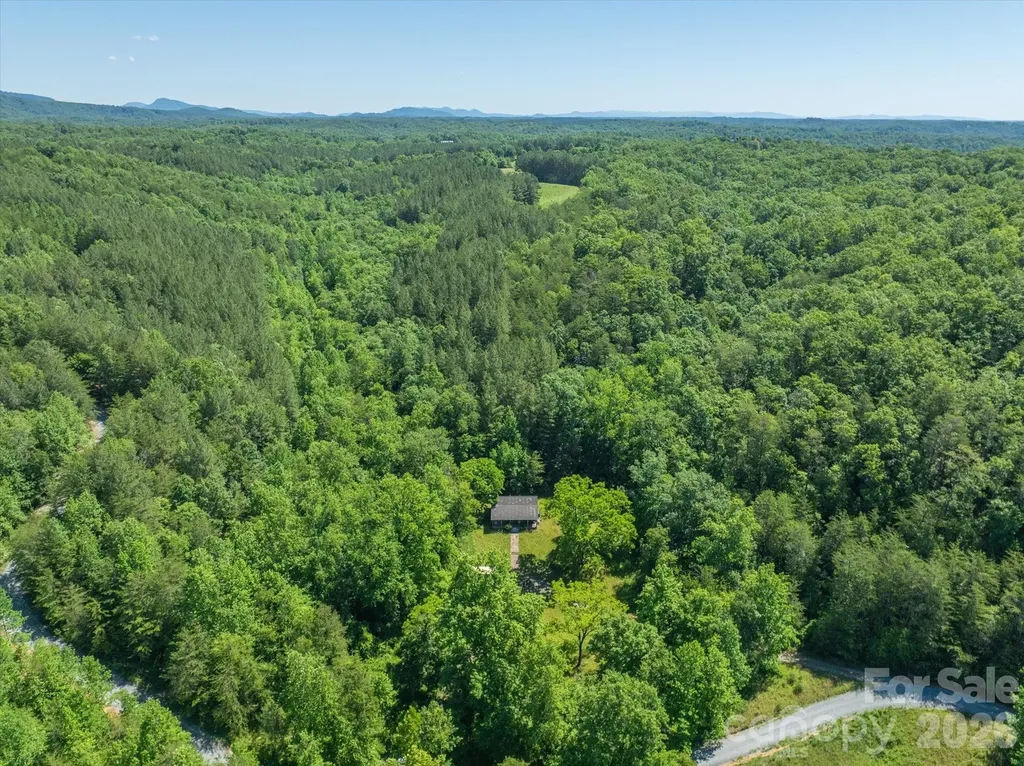 1194 Palmer Road Mill Spring NC 28756