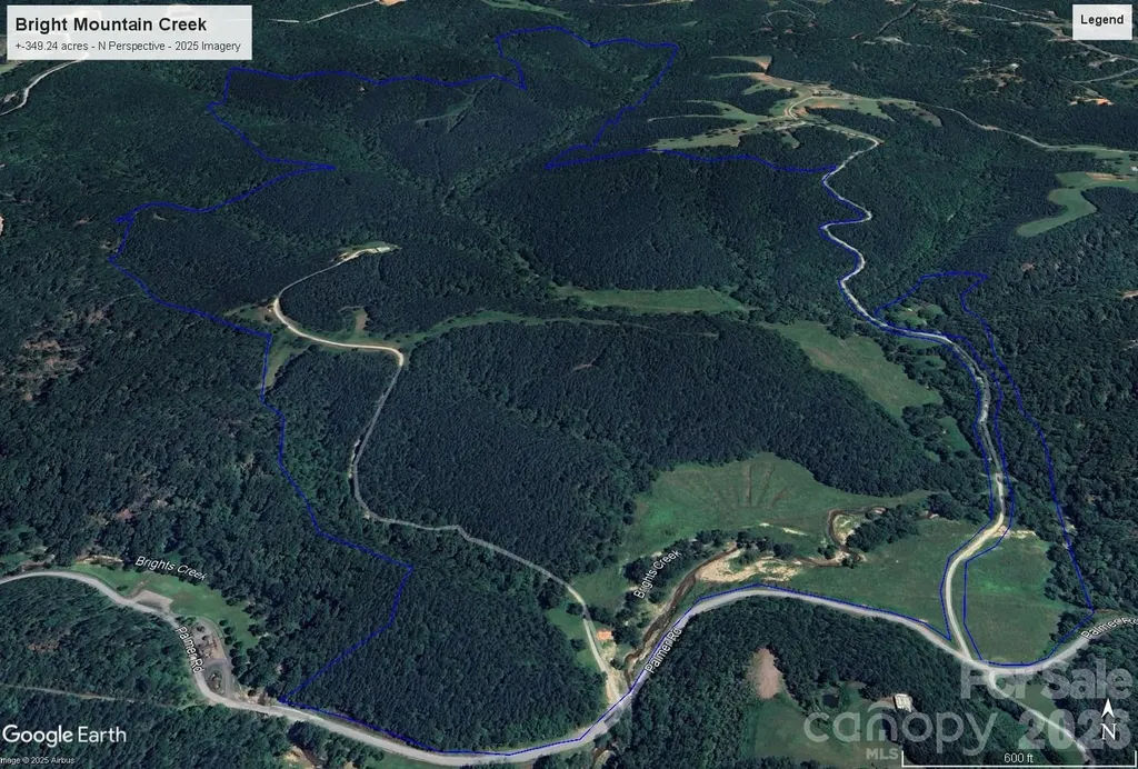 1194 Palmer Road Mill Spring NC 28756