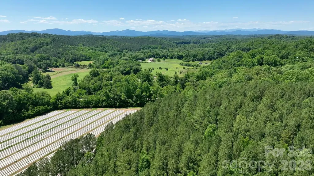 99999 Tryon Road Rutherfordton NC 28139
