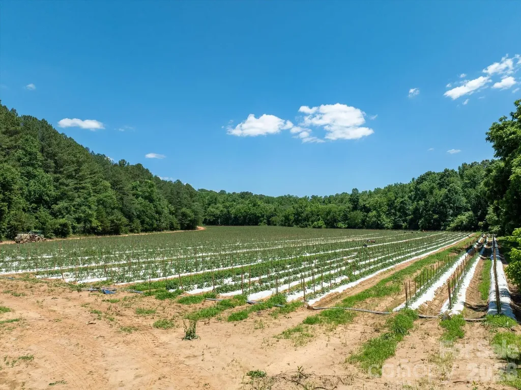 99999 Tryon Road Rutherfordton NC 28139