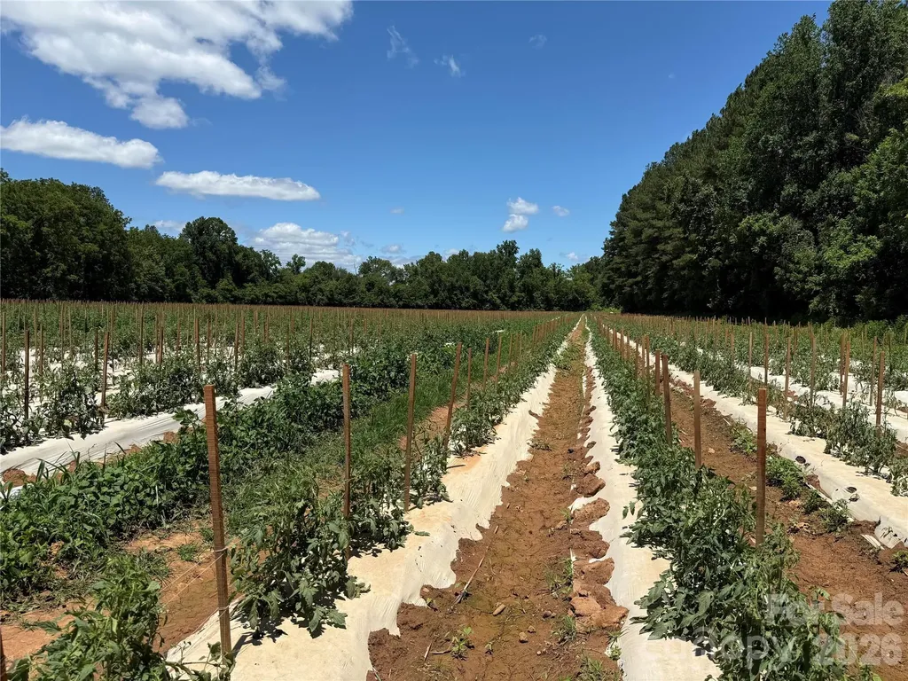 99999 Tryon Road Rutherfordton NC 28139