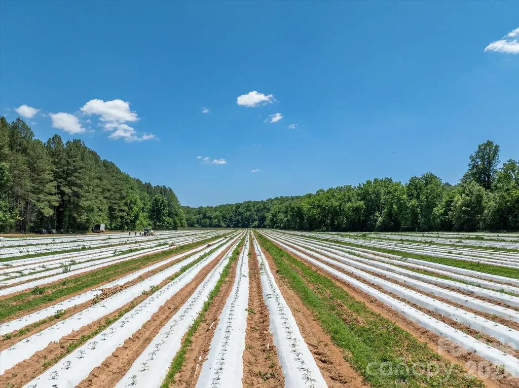 99999 Tryon Road Rutherfordton NC 28139