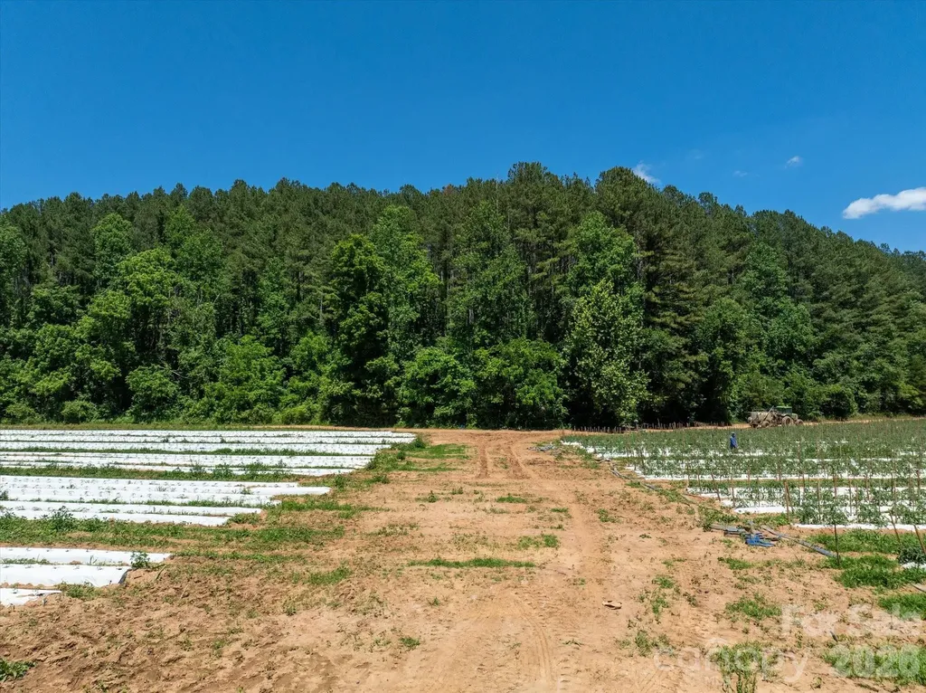 99999 Tryon Road Rutherfordton NC 28139