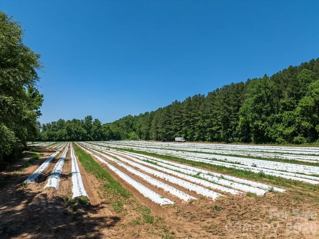 99999 Tryon Road Rutherfordton NC 28139