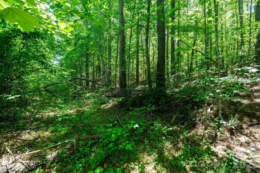 99999 Tryon Road Rutherfordton NC 28139