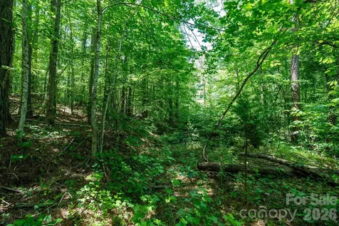 99999 Tryon Road Rutherfordton NC 28139