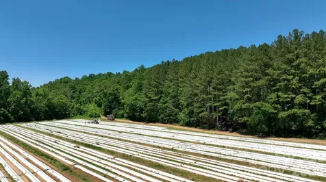 99999 Tryon Road Rutherfordton NC 28139