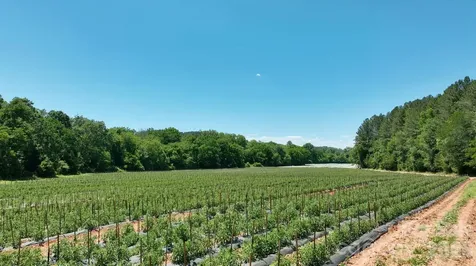 99999 Tryon Road Rutherfordton NC 28139