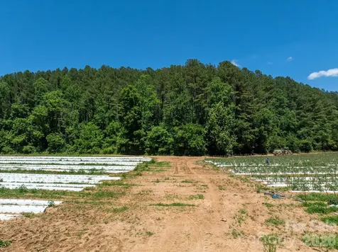 99999 Tryon Road Rutherfordton NC 28139