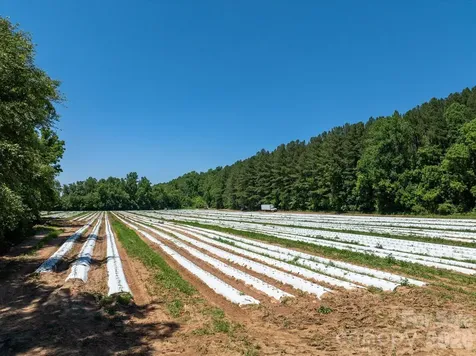 99999 Tryon Road Rutherfordton NC 28139