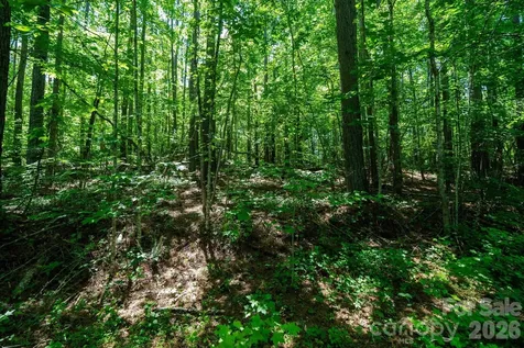 99999 Tryon Road Rutherfordton NC 28139
