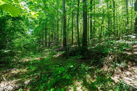 99999 Tryon Road Rutherfordton NC 28139