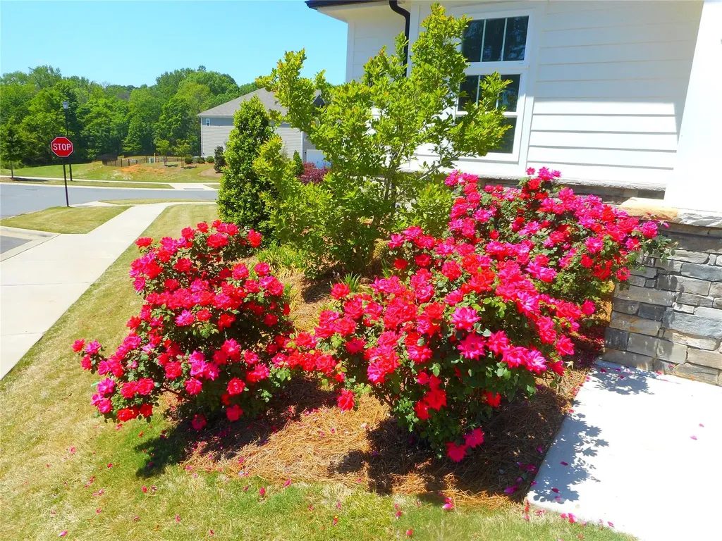 2821 Aubrey Street Monroe NC 28110