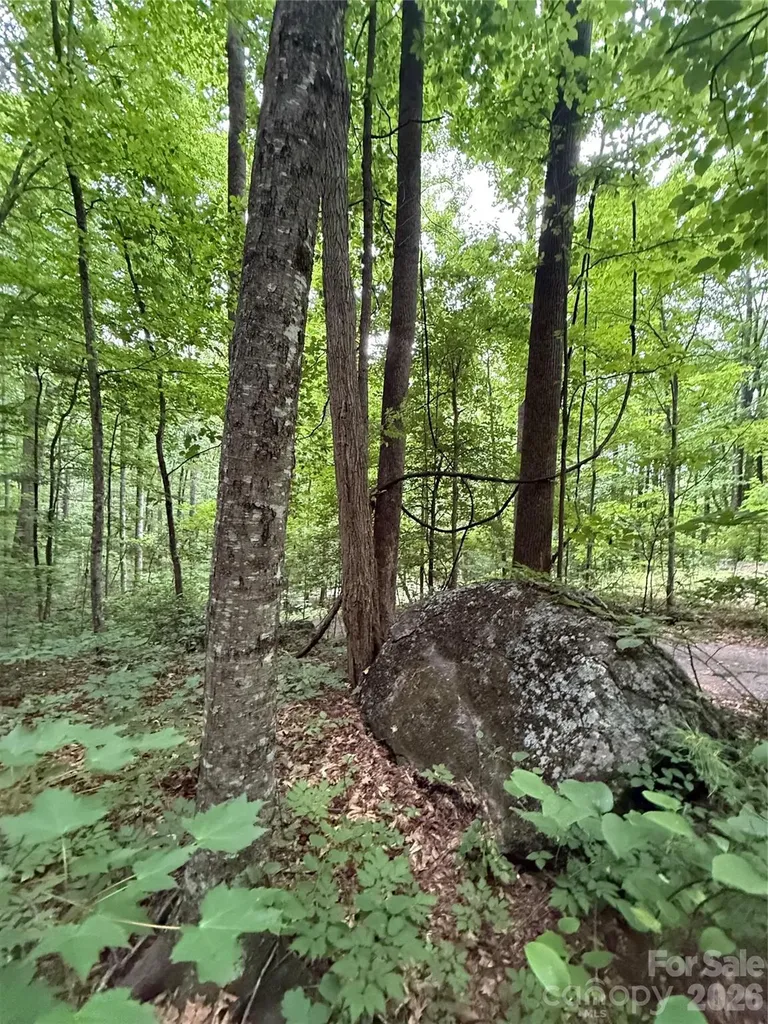 9999 Countryside Estate Barnardsville NC 28709